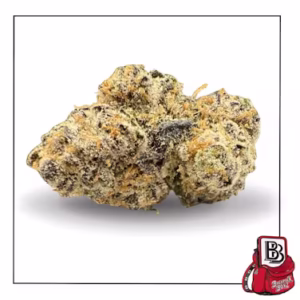 Backpack Boyz White Cherry Gelato 3.5g-28g